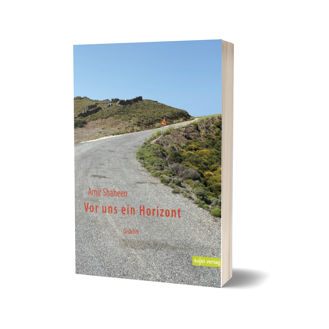 'Vor uns ein Horizont' – Amir Shaheen
