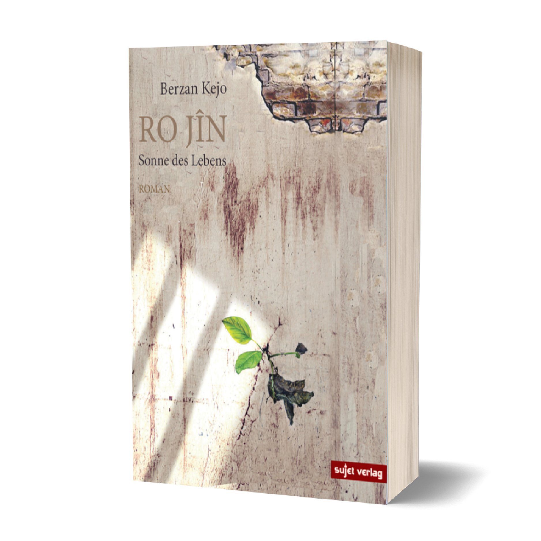 Berzan Kejo: Ro Jîn - Sonne des Lebens