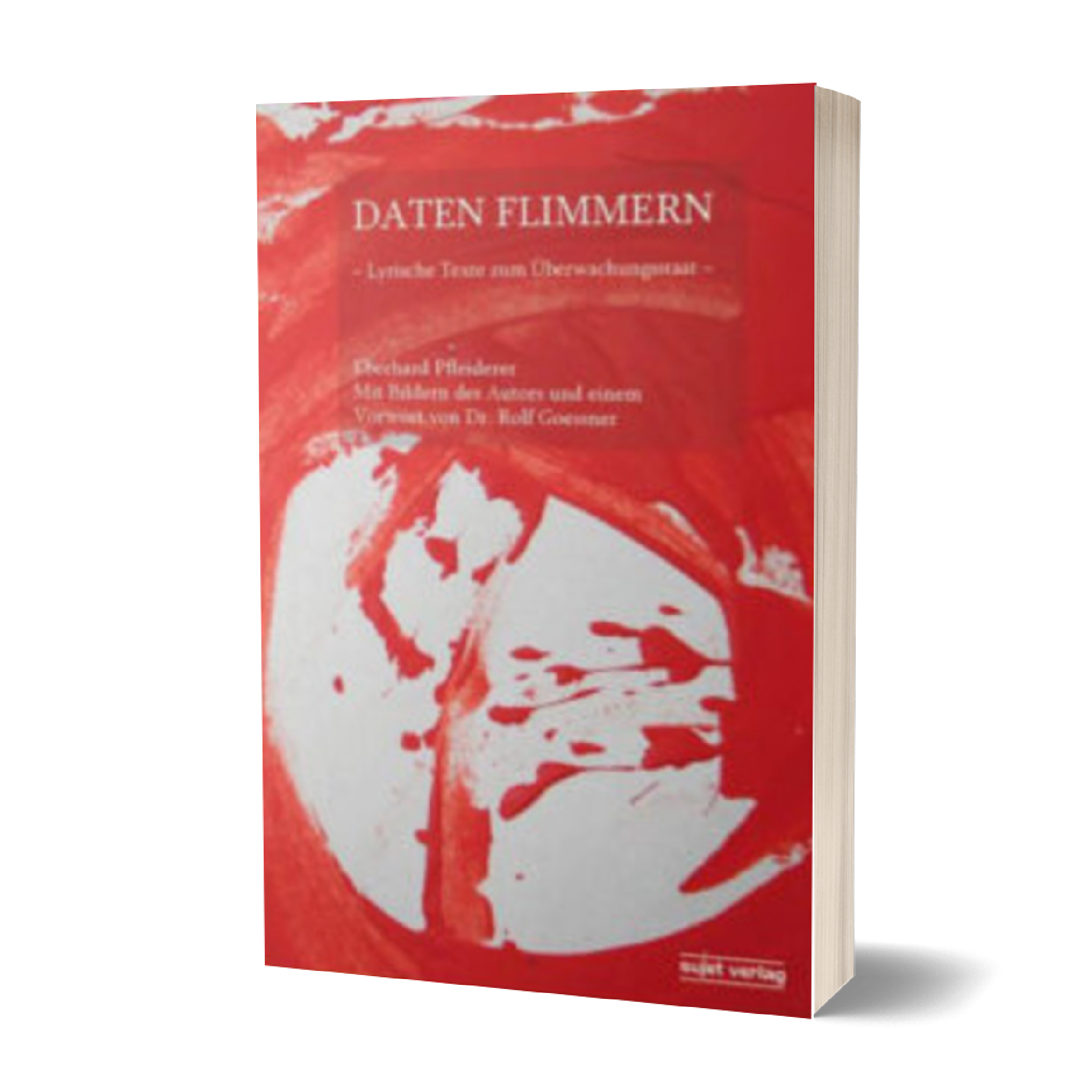 Eberhard Pfleiderer: Daten Flimmern