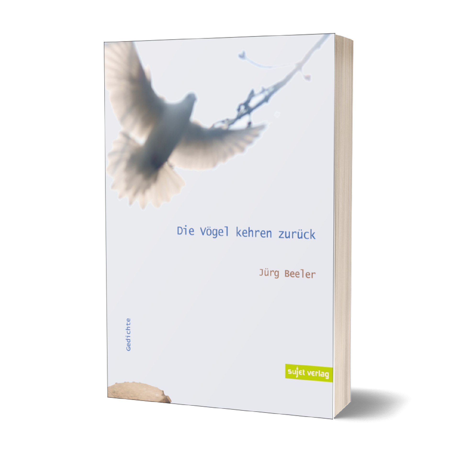 Jürg Beeler: Die Vögel kehren zurück