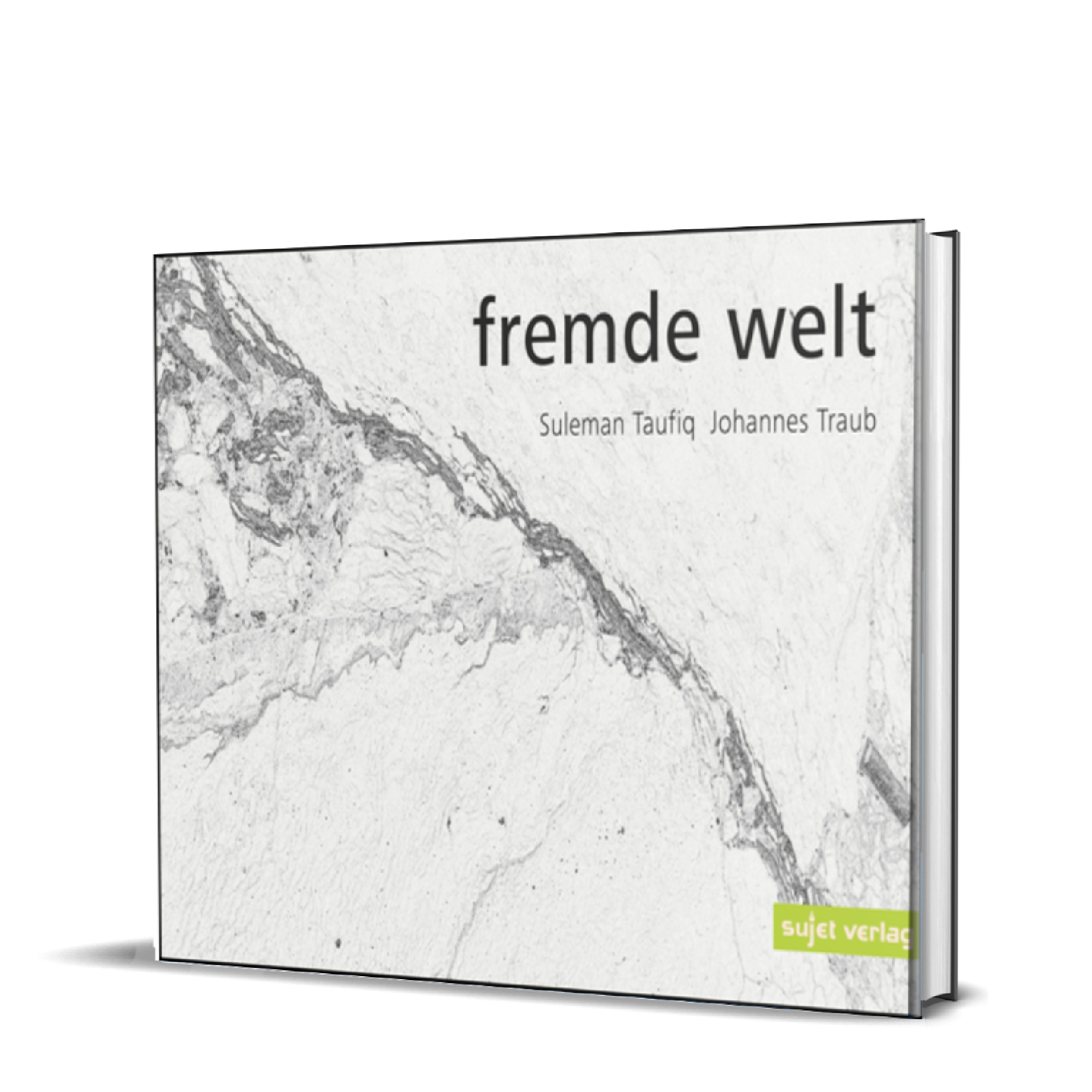 Suleman Taufiq: Fremde Welt